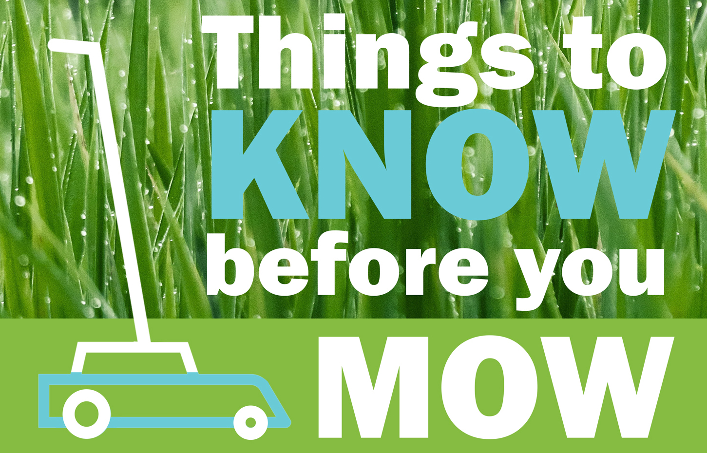 Things to know before you mow